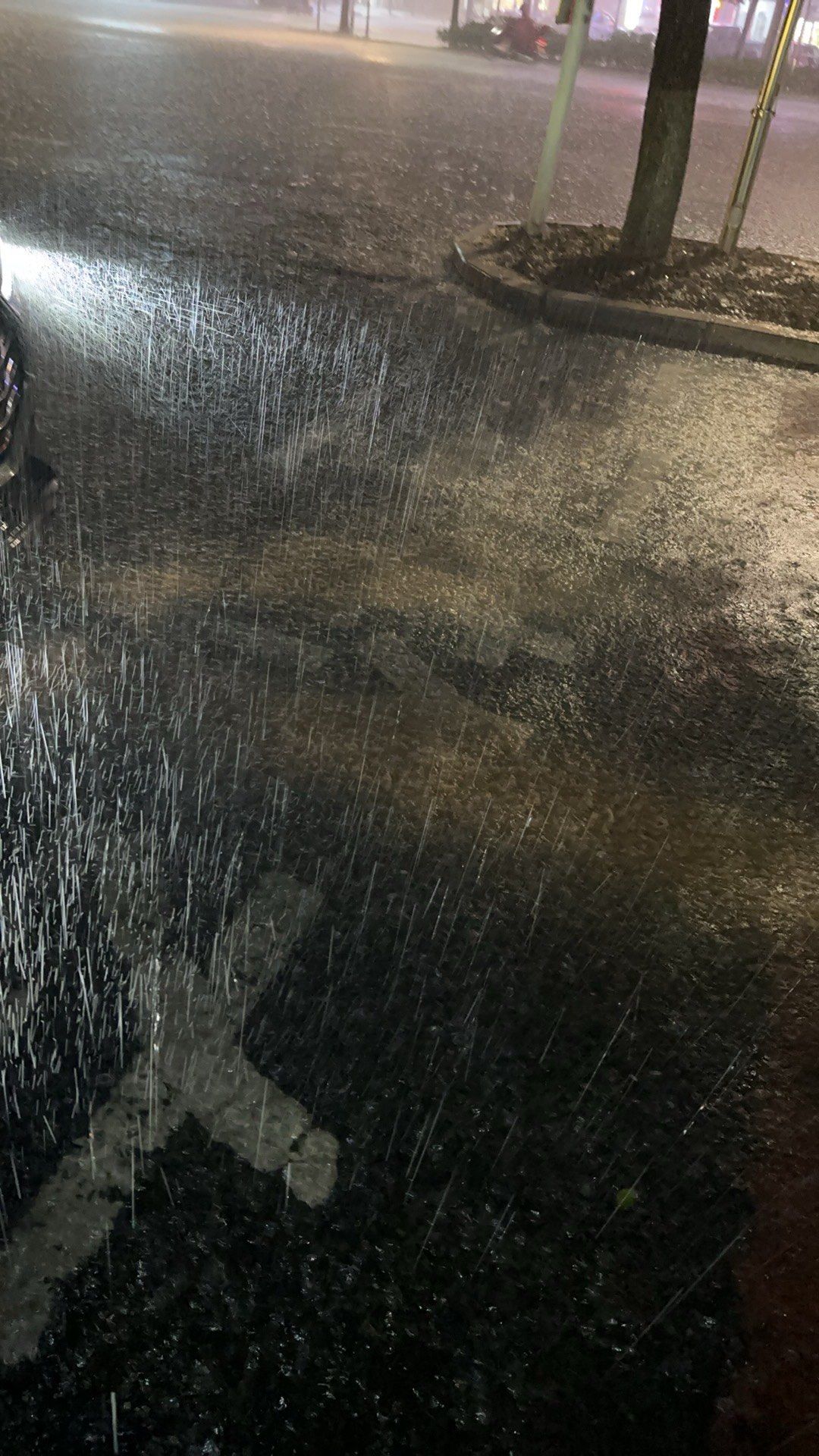 天天领红包昨天晚上下大雨了,鞋子都湿了