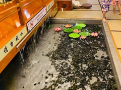 -汤泉良子(金源店)