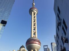 -上海大自然野生昆虫馆(东方明珠·爬宠昆虫探索中心)