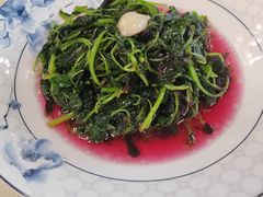 蒜籽炒苋菜-二泉园老菜馆·百年无锡菜