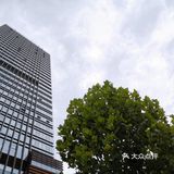 夏日市集