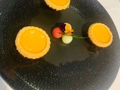 港式酥皮蛋挞-伯衡55·吉品轩(乌鲁木齐南路店)