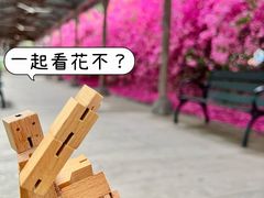 -盈香心动乐园