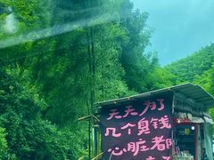-将军关探险漂流