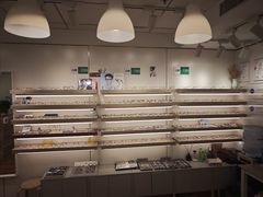 -刺鸟眼镜(黄岛直营店)