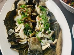 荷塘清宫蒸东星斑-三利音·东方司宴(外滩店)