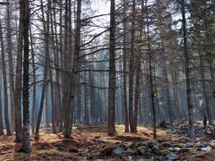 -硗碛藏寨·神木垒景区