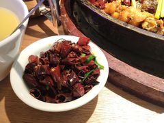老板恋上鱼-老板恋上鱼(高新万达店)