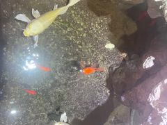 -御轩足道·SPA·养生·保健(瑞金北路店)