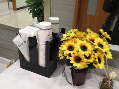 -茂菊口腔连锁(浦东南路店)
