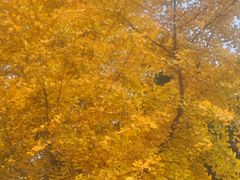 -苏州吴中太湖旅游区