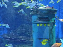 -海合安武汉极地海洋公园
