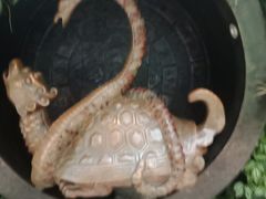 -花之城