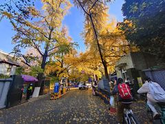 -四川大学(华西校区)