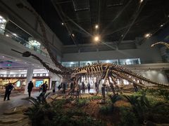 -自贡恐龙博物馆