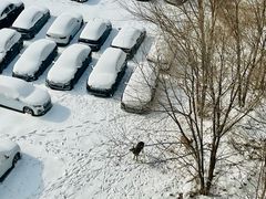 -马栏河运动公园
