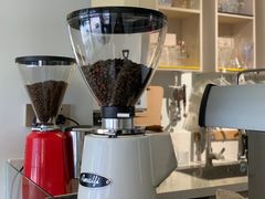 -树咖啡tree coffee