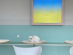 -怪兽屋·羊驼·猫咖·狗咖(俊华广场店)