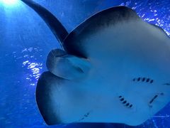 -太平洋海底世界