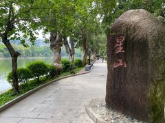 -中山公园