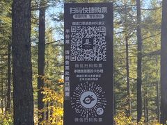 -塞罕坝国家级自然保护区