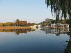 -月湖风景区