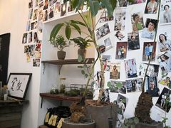 -植觉