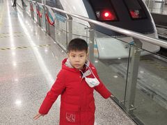 -龙阳路磁悬浮列车总站-停车场