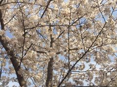 -浮戏山雪花洞风景名胜区