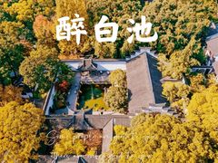 -上海醉白池公园