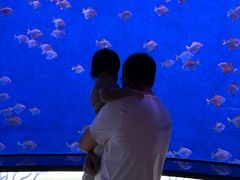 -沈阳海洋探索中心