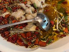 -眉州东坡(华联万柳店)