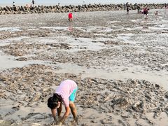 -南汇嘴观海公园