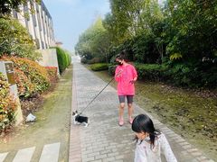 -上海崇明金茂凯悦酒店