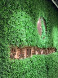 -变美丽半永久纹眉连锁·机器野生眉•洗眉