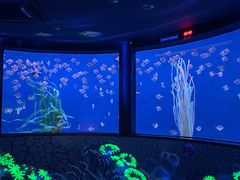 -沈阳海洋探索中心