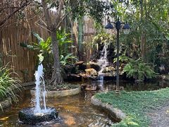 -DOI CHAANG Caffè Maesuai