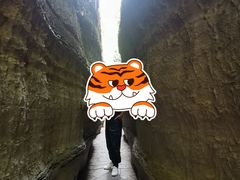 -梭布垭石林景区