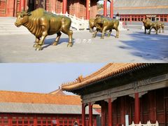 -故宫博物院(故宫)