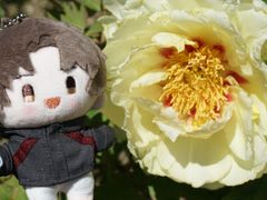 -太阳宫公园