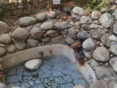 -三江森林温泉度假区