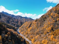 -光雾山旅游景区