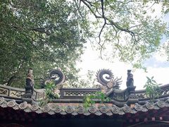 -普陀山风景区-佛顶山