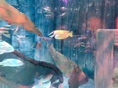 -沈阳海洋探索中心