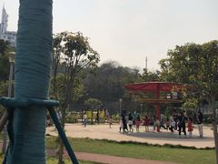 -大渡口区义渡公园