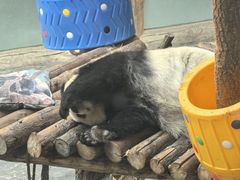 -青藏高原野生动物园