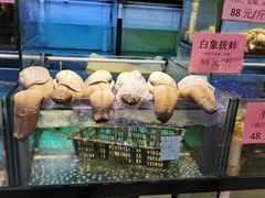 -联邦酒楼