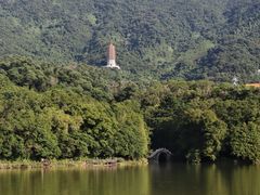 -深圳仙湖植物园