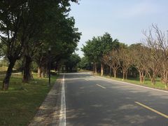 -福建鲤鱼洲酒店