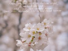 -上海辰山植物园